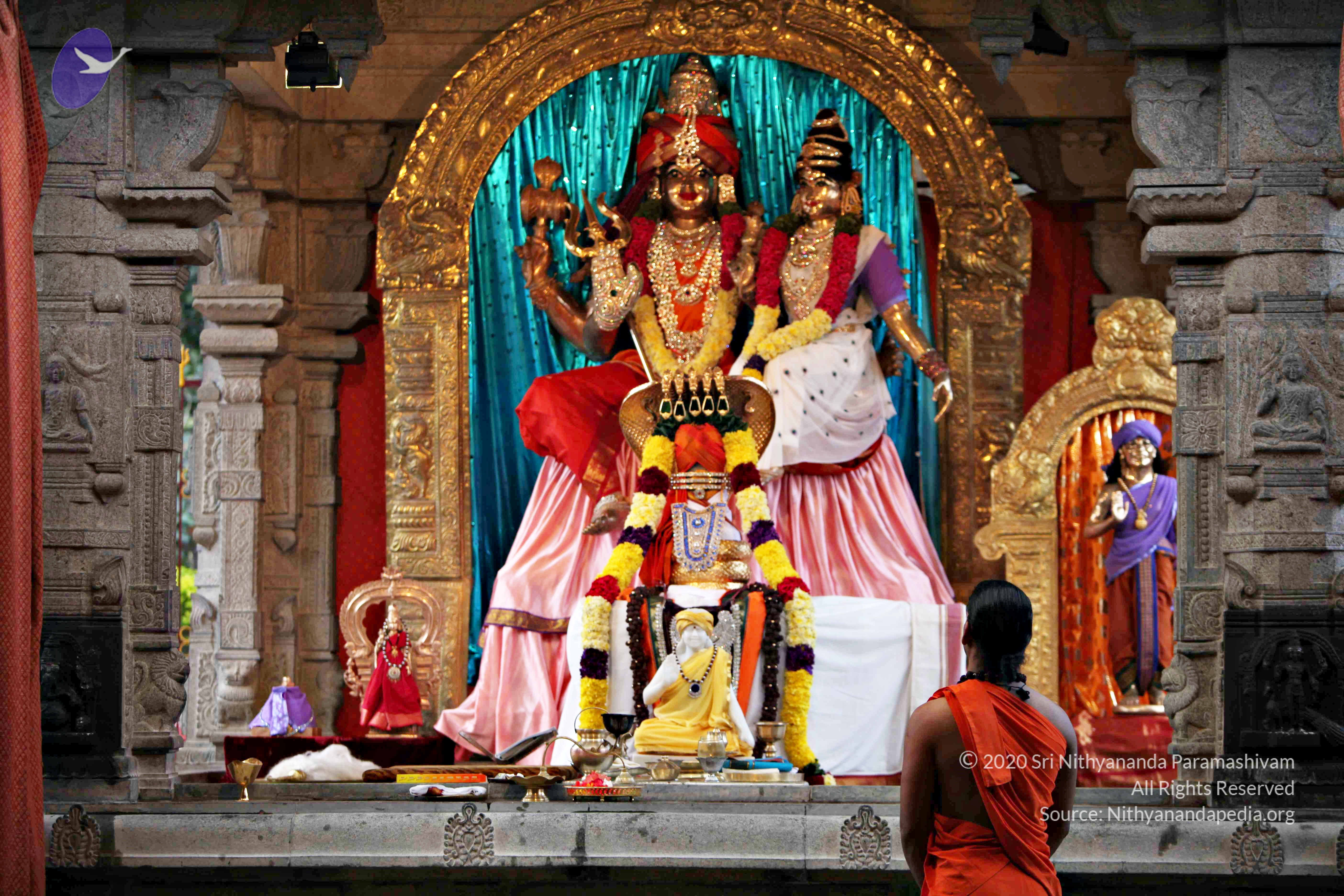 20110225_Photo_1088_IMG_0801_CMP_WM